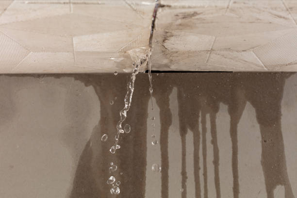 Professional Burst Pipe Cleanup technician working in White Cloud, MI